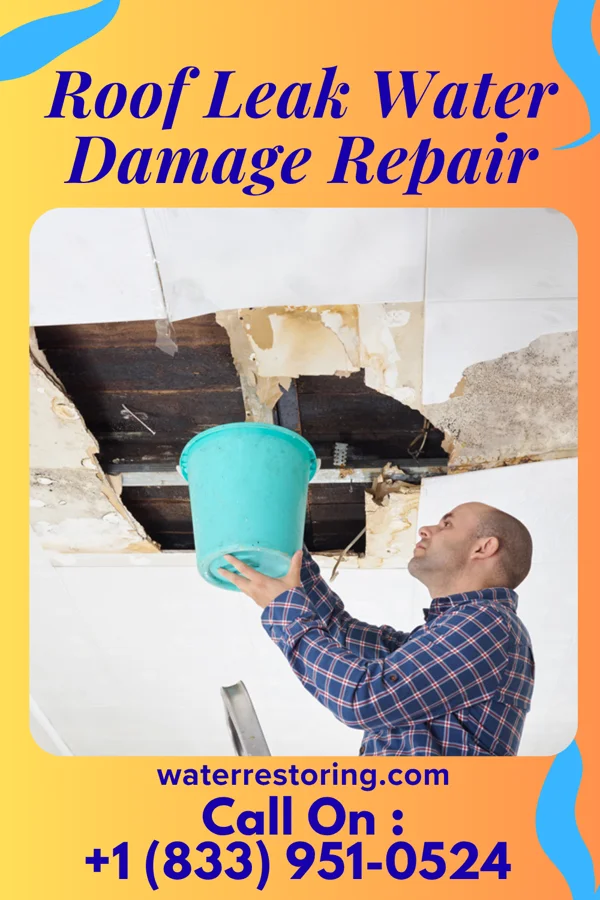Roof Leak Water Damage Repair in Burns City, IN